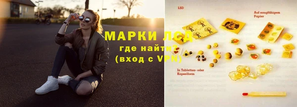 винт Бикин
