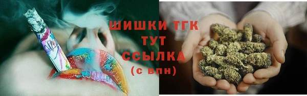 винт Бикин