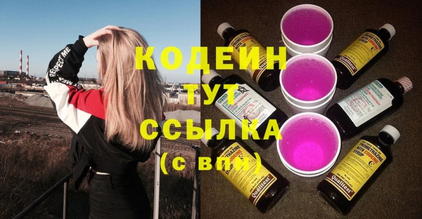 винт Бикин